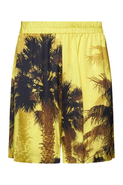 Laneus Palm-tree Print Bermuda Shorts In Yellow