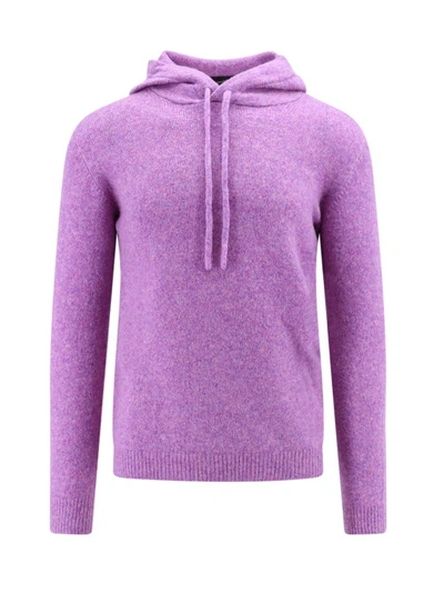 Roberto Collina Sweater In Purple