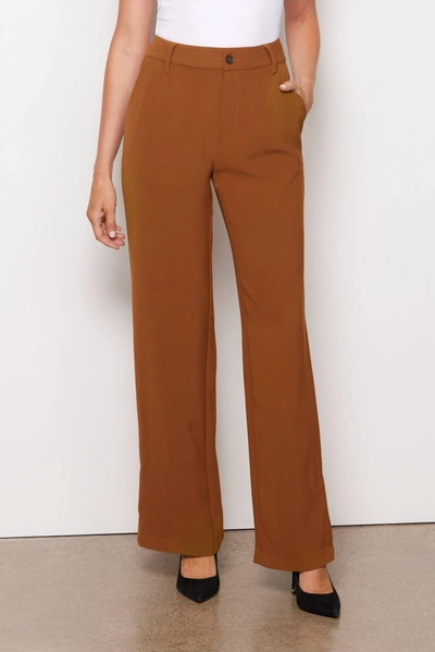 Sanctuary Noho Trouser In Spice In Brown