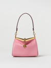 Etro Mini Bag  Woman In Pink