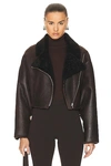 NOUR HAMMOUR COLORADO CROPPED SHEARLING BOMBARDIER JACKET