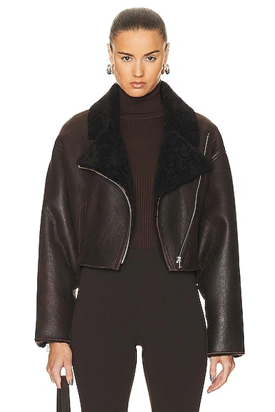 Nour Hammour Colorado Cropped Shearling Bombardier Jacket In Dark Chocolate