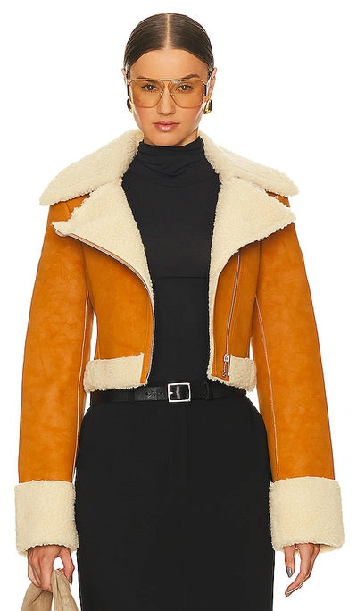 L'academie Taryn Fitted Shearling Jacket In Tan