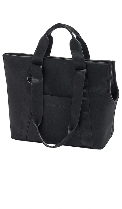 Wild One Everyday Carrier In Black