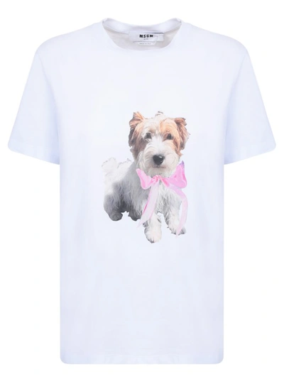 Msgm Dog-print Cotton T-shirt In White