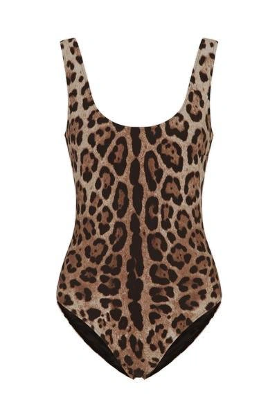 Dolce & Gabbana Leopard In Multi