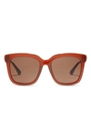 Diff 54mm Hailey Square Sunglasses In Nutshell