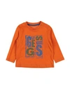 Guess Newborn Girl T-shirt Orange Size 3 Organic Cotton In Orange