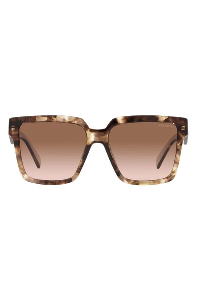 Prada 56mm Square Sunglasses In Brown Tort