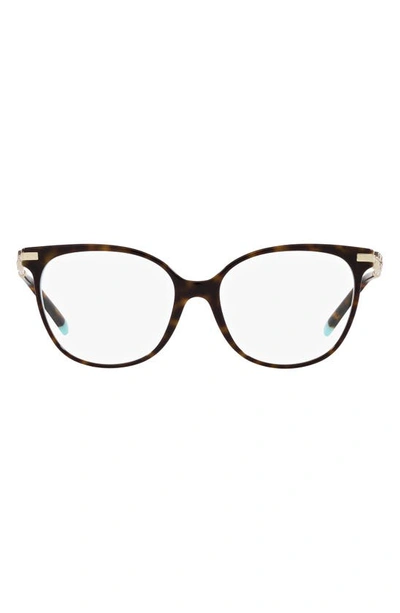 Tiffany & Co 54mm Cat Eye Reading Glasses In Havana