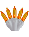 Northern Lights Northlight 100-count Orange Led Mini Christmas Lights 4in Spacing - White Wire In Orange