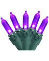 Northern Lights Northlight 100-count Purple Led Mini Christmas Lights 33ft Green Wire In Purple