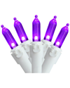Northern Lights Northlight 100ct Purple Led Mini Christmas Lights White Wire 33 Feet In Purple