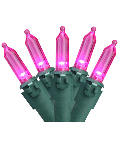 Northern Lights Northlight 100-count Pink Led Mini Christmas Lights 33ft Green Wire In Purple