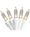 Northern Lights Northlight 100 Warm White Led Mini Christmas Lights - 33ft White Wire In White