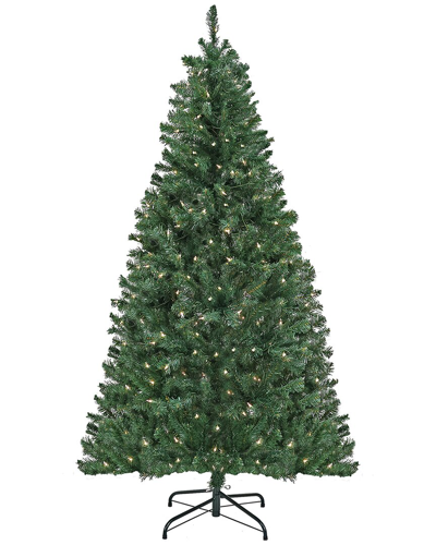 First Traditions 6ft Acacia Tree With 300 Clear Lights In Green