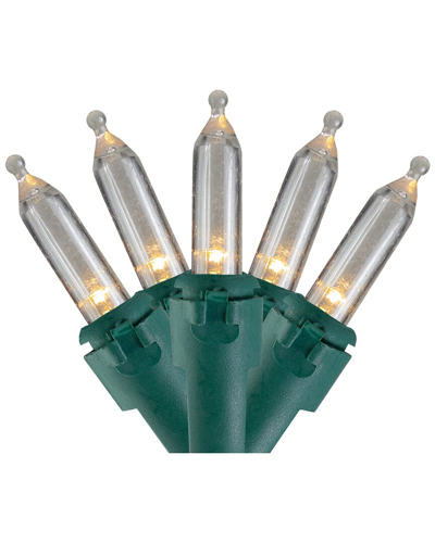 Northlight 100-count Warm White Led Mini Christmas Lights