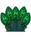 Northlight 25-count C7 Transparent Green Christmas Light Set
