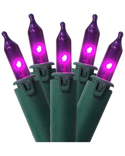 Northlight 100-count Purple Commercial Grade Mini Christmas Lights