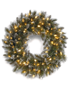 National Tree Company 24in Glittery Bristle Pine Wreath With 50 Soft White Led Lights