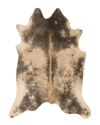 Loloi Ii Grand Canyon Area Rug In Beige