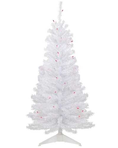 Northlight 4ft Pre-lit Woodbury White Pine Slim Artificial Christmas Tree