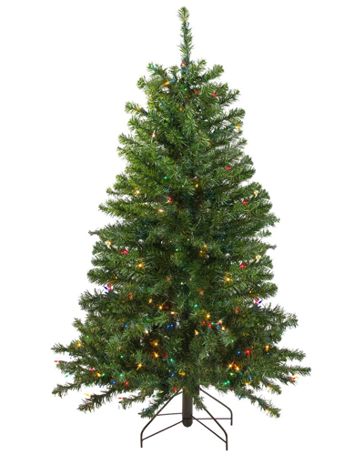 Northlight 4ft Pre-lit Full Canadian Pine Artificial Christmas Tree