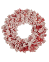 Northlight Pre- Lit Flocked Artificial Christmas Wreath With Clear Lights, 24"