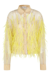 Des Phemmes Tulle Feathers In Nude