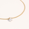 Joey Baby Juliet Flat Snake Chain Necklace In Gold
