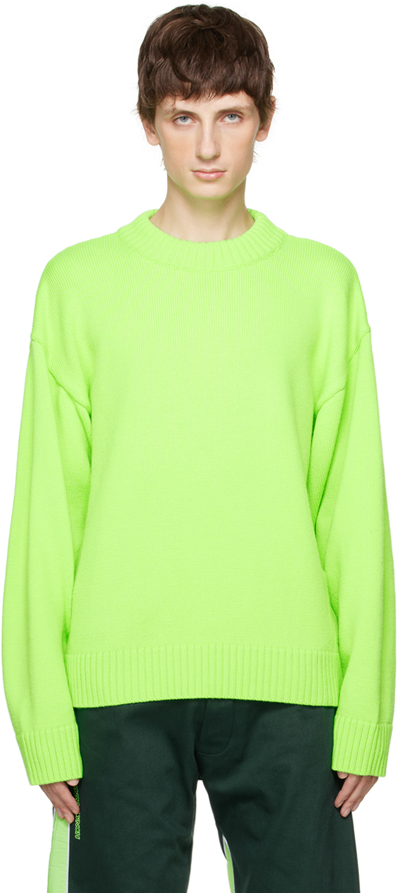 Robyn Lynch Green Crewneck Jumper In 24497002 Lizard Gree