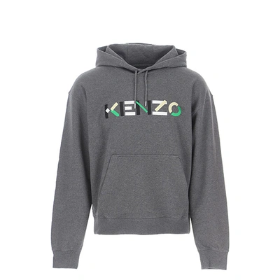 Kenzo Logo Hooded Sweatshirt In Grey