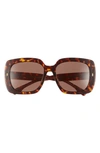Tory Burch Women's Miller 56mm Oversized Square Sunglasses In Dark Tortoise
