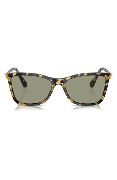 Swarovski 55mm Rectangular Sunglasses In Havana