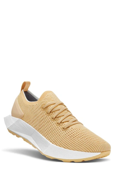 Allbirds Tree Flyer Running Shoe In Lux Beige/ Blizzard