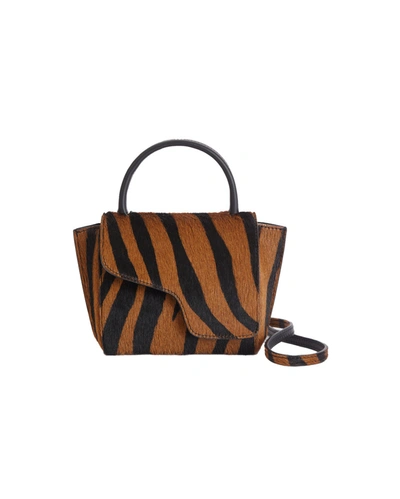 Atp Atelier Montalcino Zebra Mini Handbag In Multi