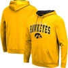 COLOSSEUM COLOSSEUM GOLD IOWA HAWKEYES RESISTANCE PULLOVER HOODIE