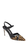 MANOLO BLAHNIK ARISTIDA GENUINE CALF HAIR POINTED TOE PUMP