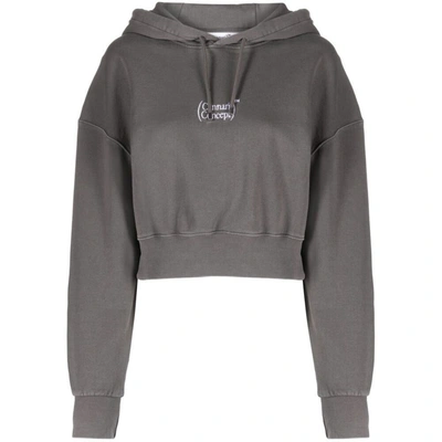 Cannari Concept Logo-embroidered Cotton Cropped Hoodie In Grey