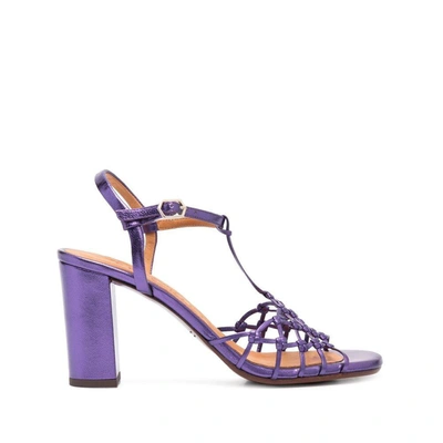 Chie Mihara Shoes In Purple