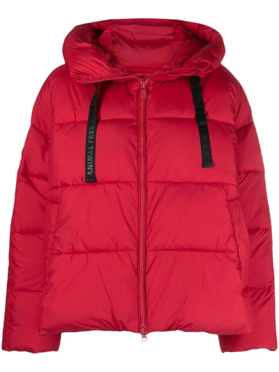 Save The Duck Keri Hooded Padded Jacket In Red