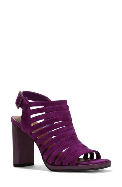 Donald Pliner Women's Suede Caged Block Heel Sandals In Iris