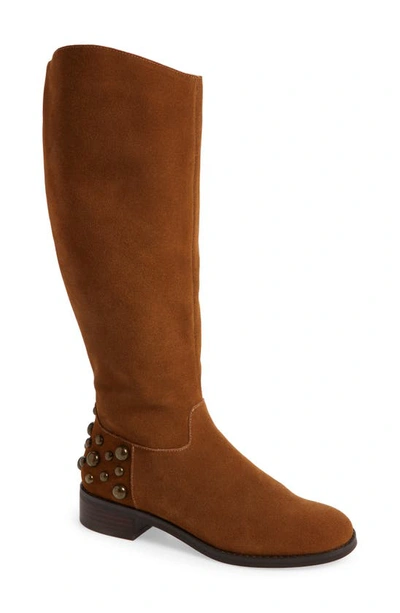 Cecelia New York Readding Stud Knee High Boot In Nutella