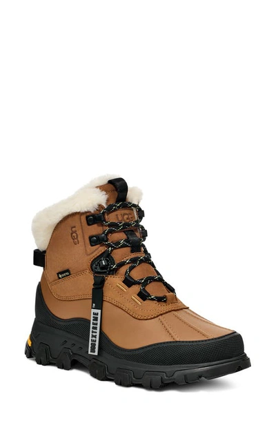 Ugg Adirondack Meridian Leather Lace-up Hiker Boots In Brown