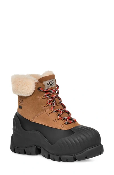Ugg Adiroam Hiker Chestnut In Brown