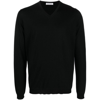 Goes Botanical Merino-wool V-neck Jumper In Black