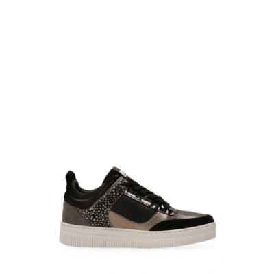 Maruti Mel Leather Trainers In Black/bronze/pixel From
