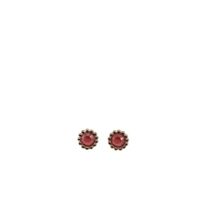 Sixton Coral Stud Earrings From In Pink