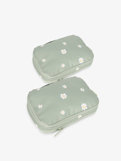 Calpak Small Compression Packing Cubes In Daisy