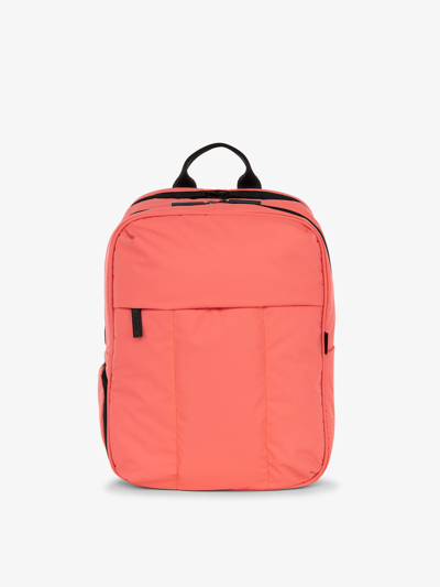 Calpak Luka 15 Inch Laptop Backpack In Watermelon